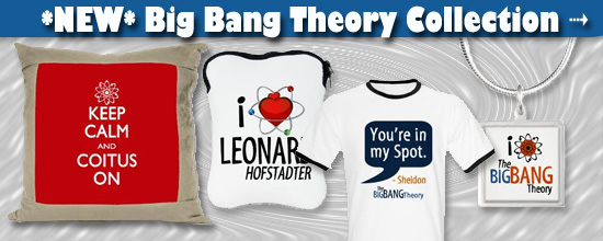 the big bang theory store