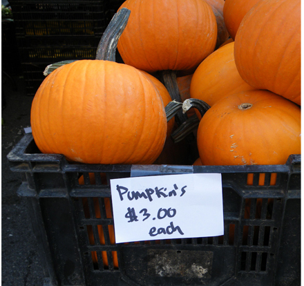 autumn pumpkins