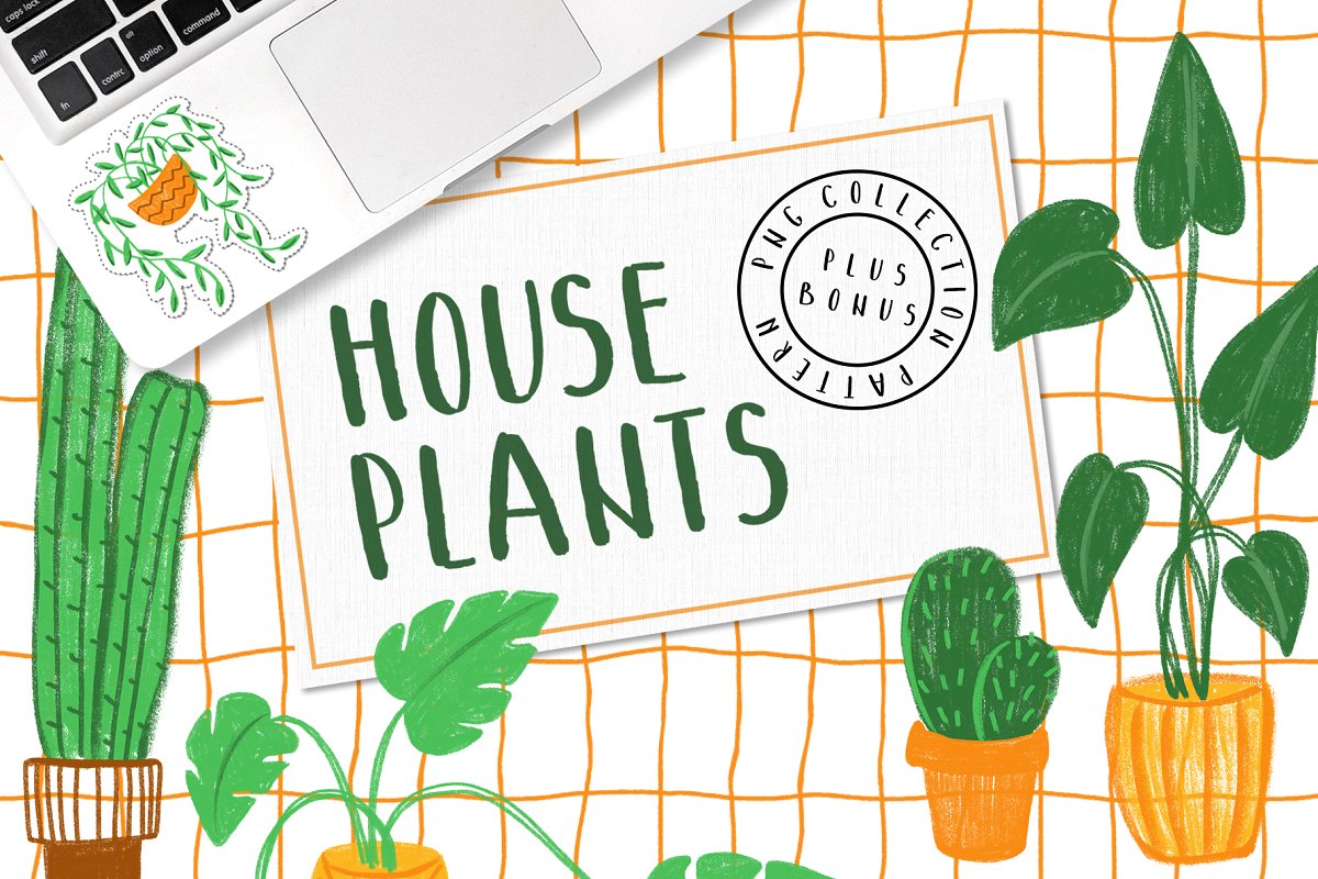 HOUSEPLANTS – PNG & Patterns Pack creative market