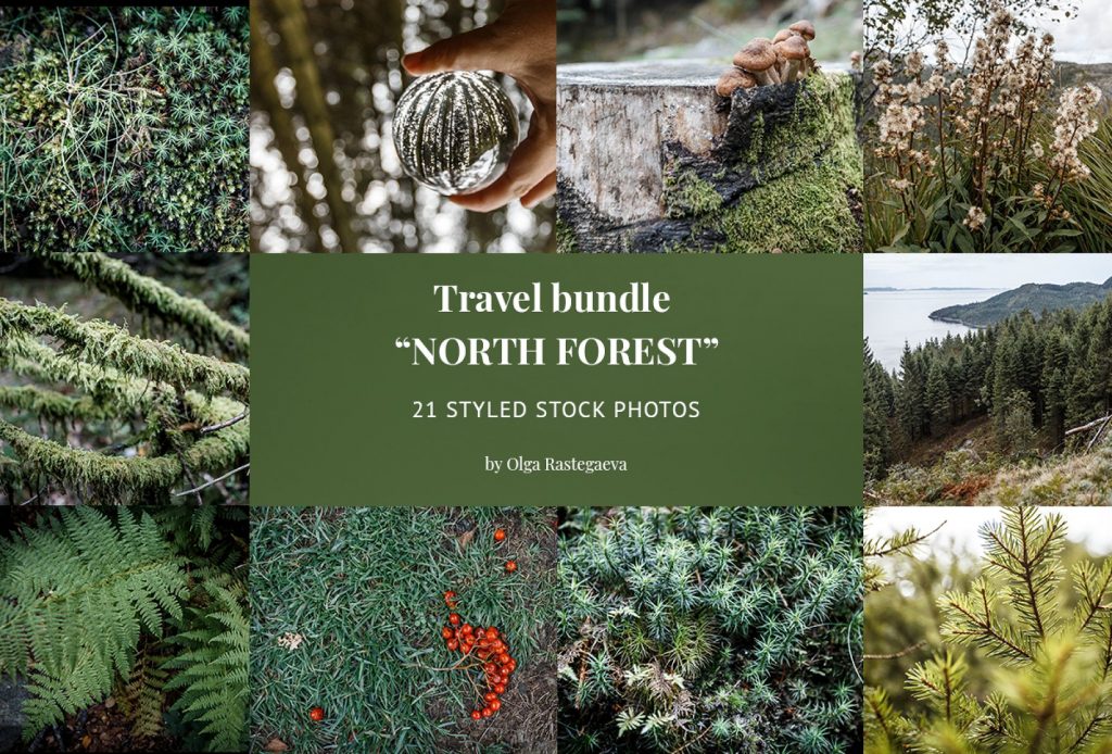 forest trees photo bundle