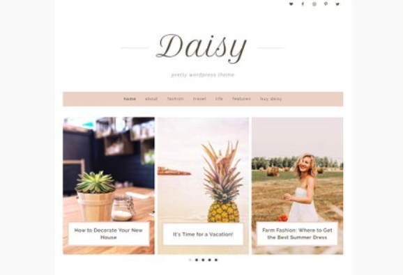 daisy wordpress theme