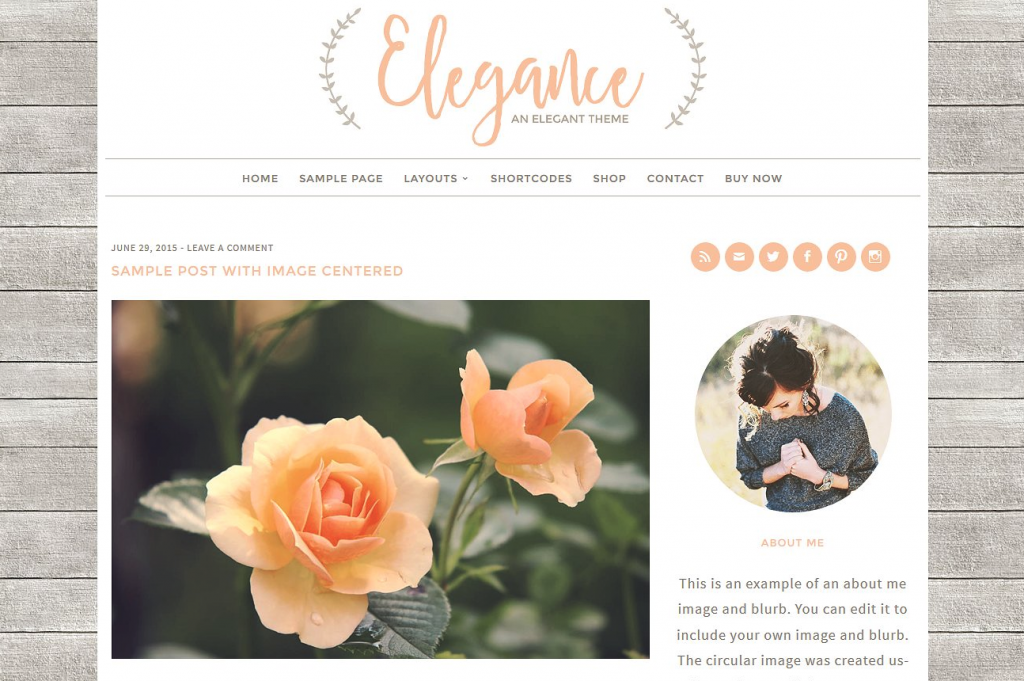 elegance rustic wordpress theme