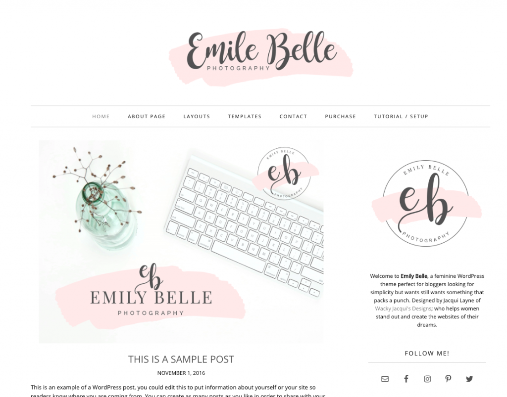 emile belle wordpress theme