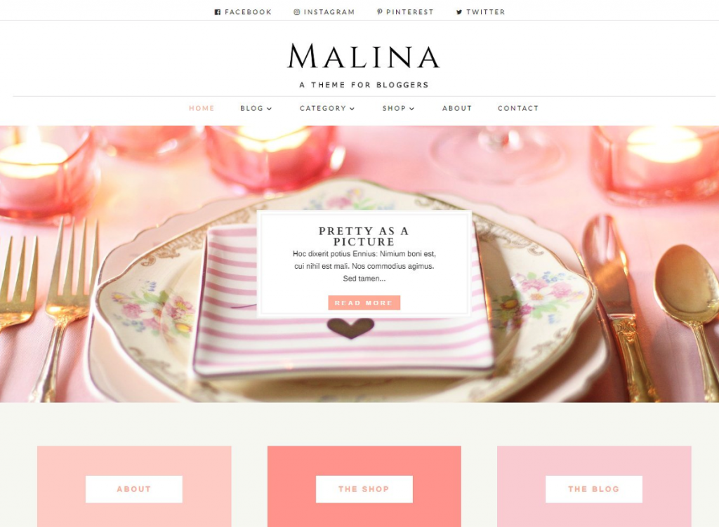 Malina feminine wordpress theme for bloggers