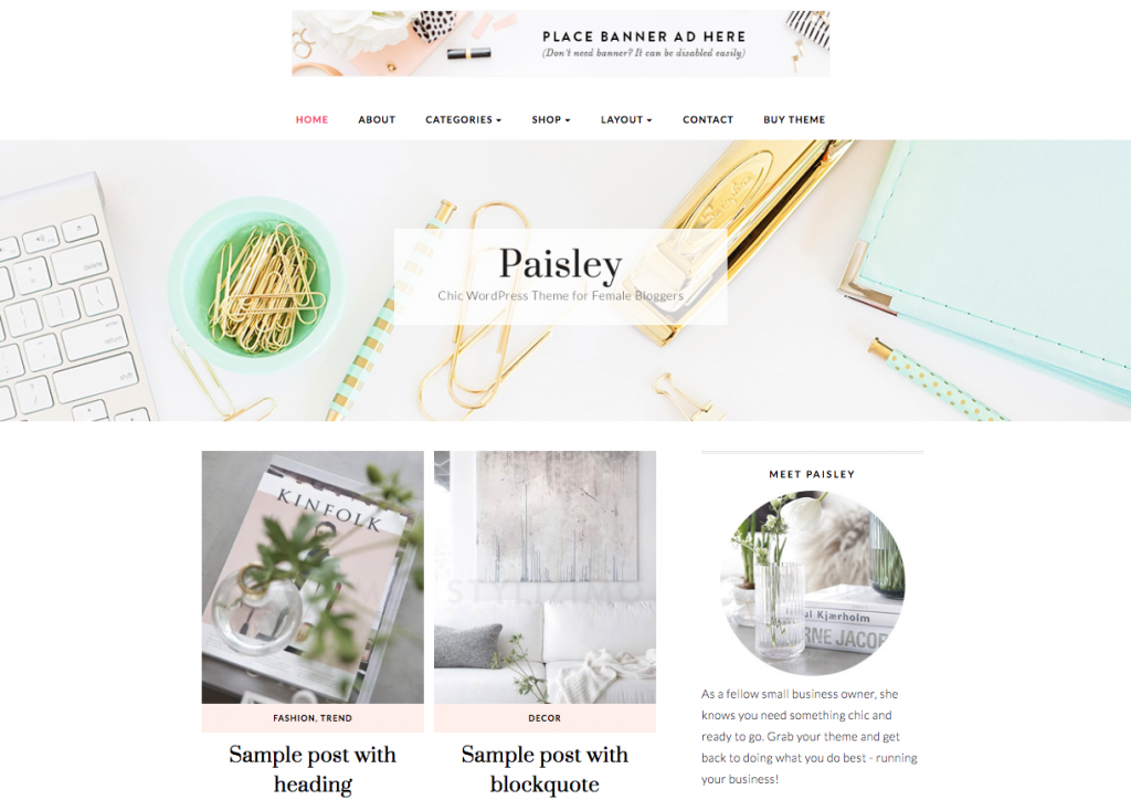 paisley wordpress theme