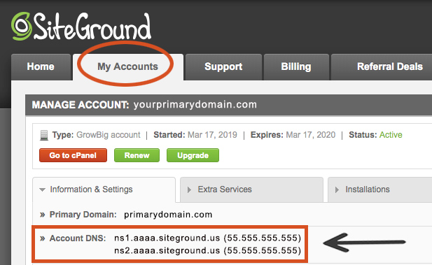 where to find Siteground account DNS